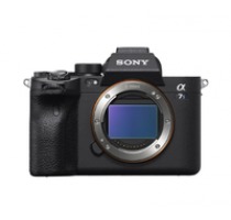 Sony Alpha 7S III Image